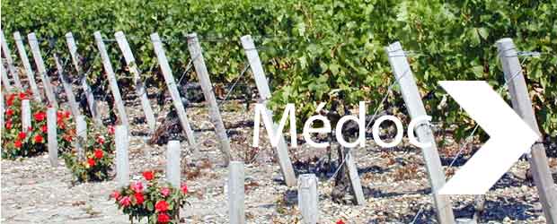 wine tourism medoc